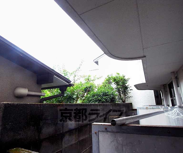 眺望　きれいな風景です