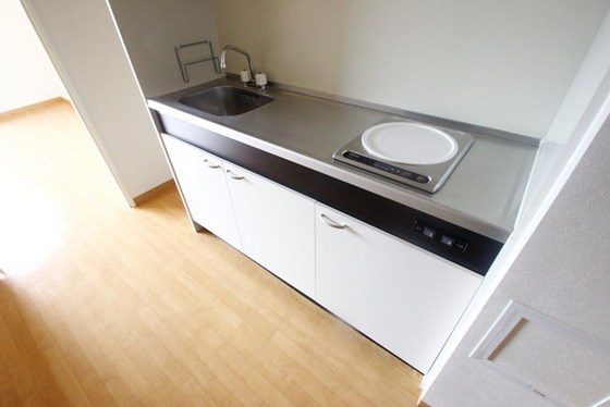 キッチン　※別号室の写真です