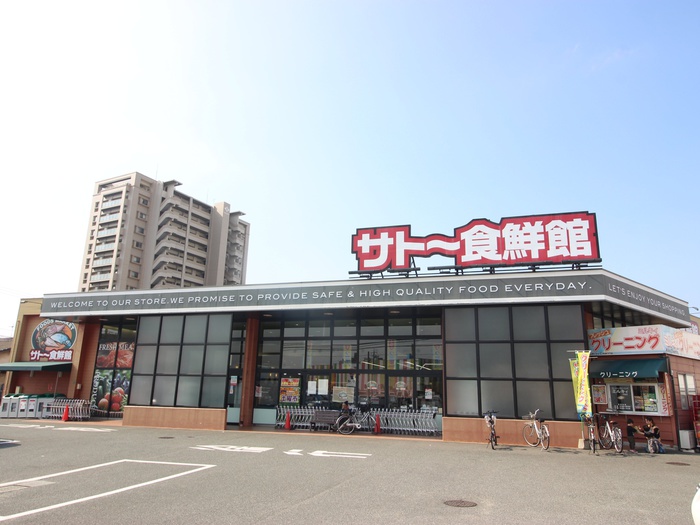 スーパー　サトー食鮮館松島店（スーパー）まで913m