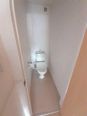 トイレ　トイレも気になるポイント