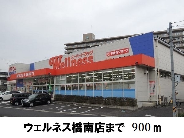 ドラックストア　ウェルネス橋南店（ドラッグストア）まで900m