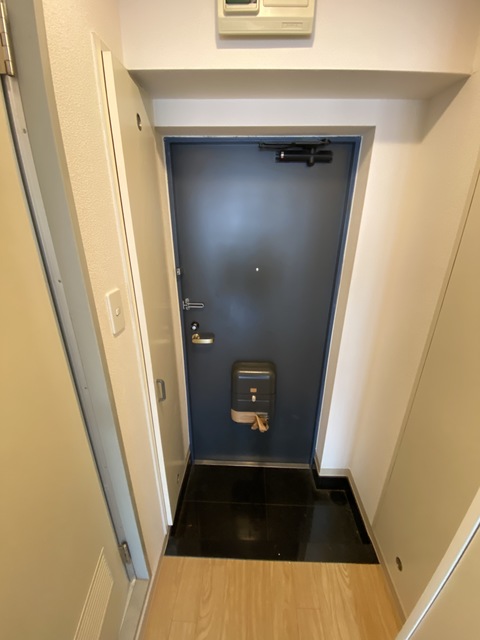 玄関　シューズボックス付