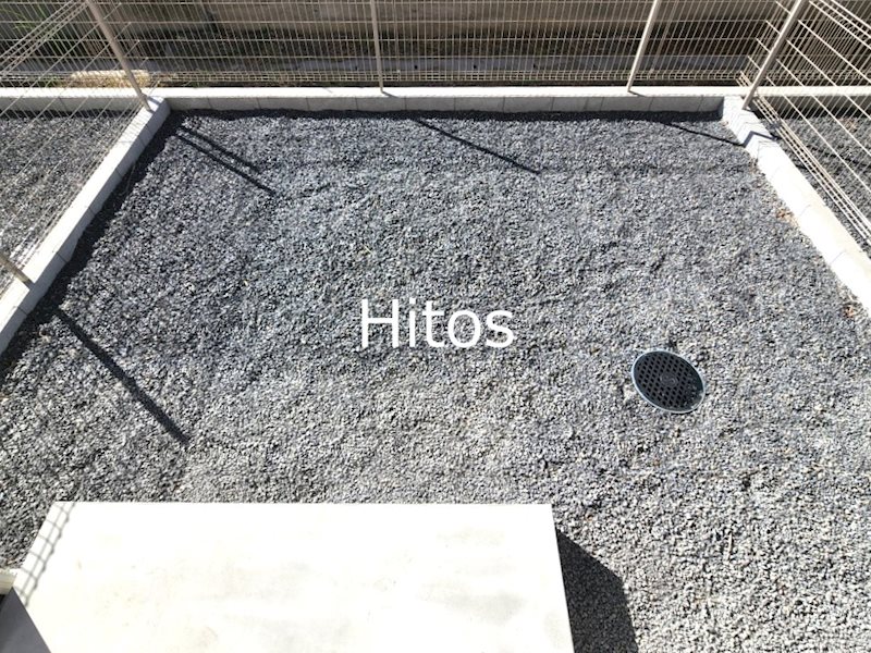 庭　（イメージ）