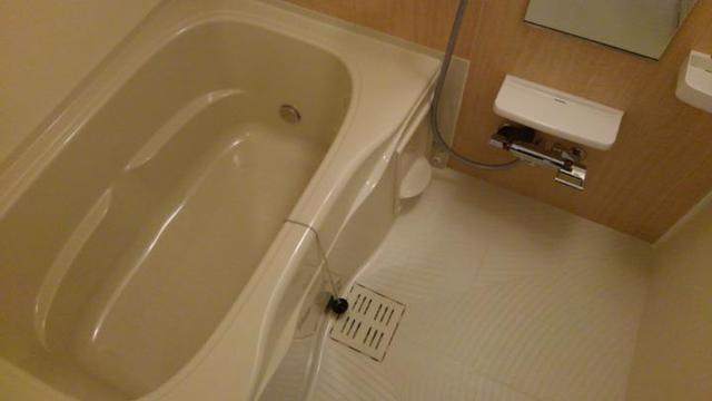 セキュリティ　人気の独立洗面所