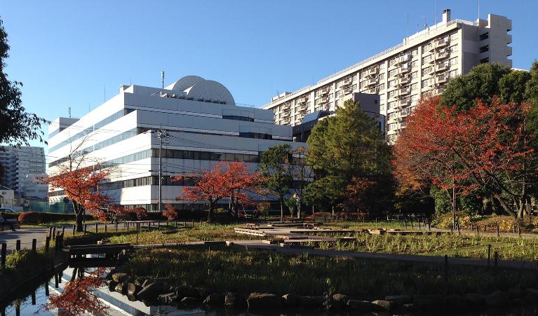 公園　横十間川親水公園（公園）まで595m