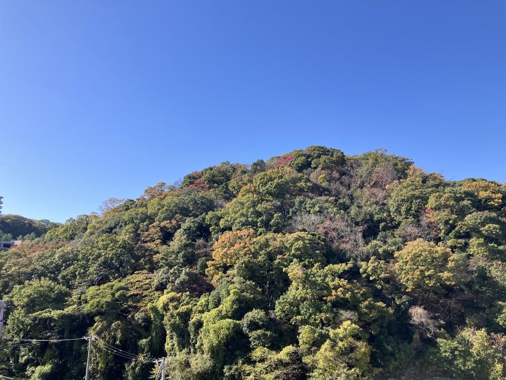 眺望　※写真は同物件同タイプ別室のものです