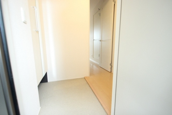 玄関　※別部屋の写真です