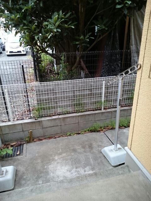 庭