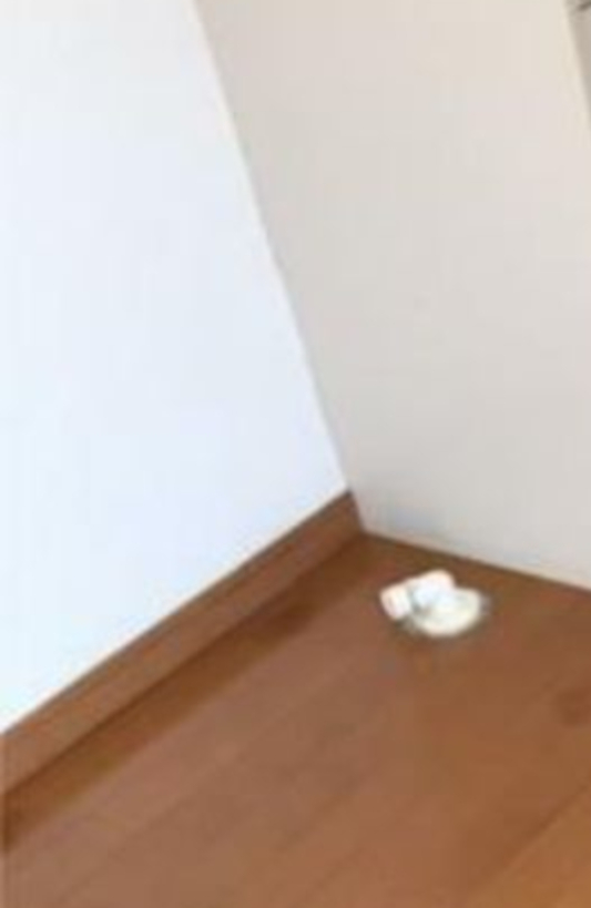 その他設備　室内洗濯機置場（同一仕様写真）