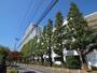 大学・短大　亜細亜大学（大学・短大）まで700m