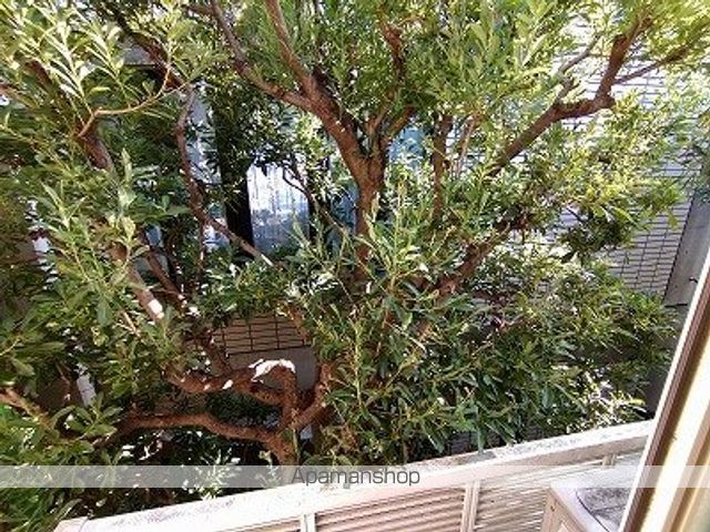 眺望　眺望