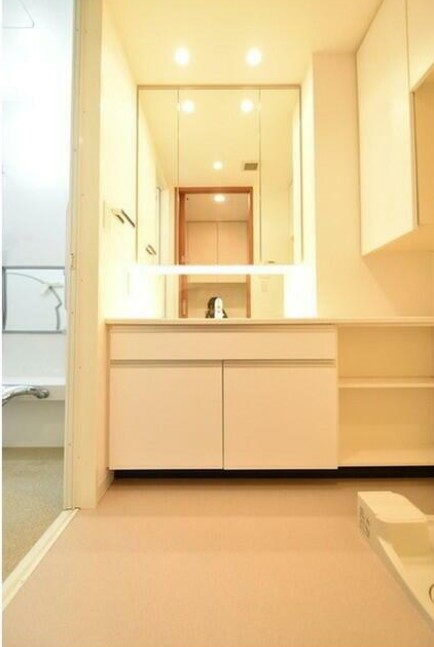 洗面設備　他部屋参考写真