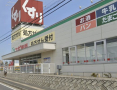 ドラックストア　スギ薬局調剤 柏豊四季店（ドラッグストア）まで397m