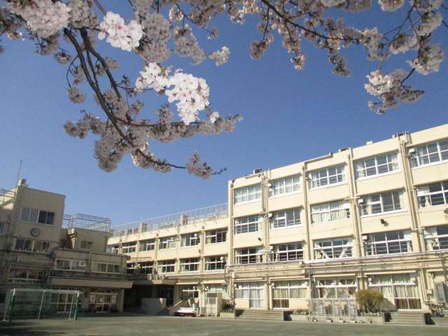 小学校　世田谷区立松原小学校（小学校）まで538m