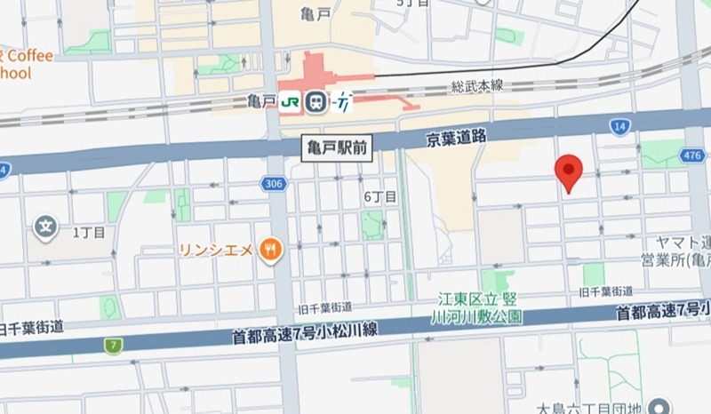 庭