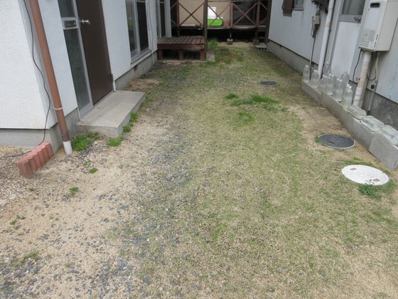 庭