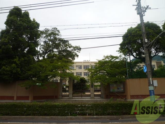 小学校　神戸市立雲中小学校（小学校）まで319m