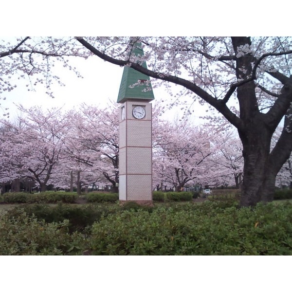 公園　竪川親水公園（公園）まで932m