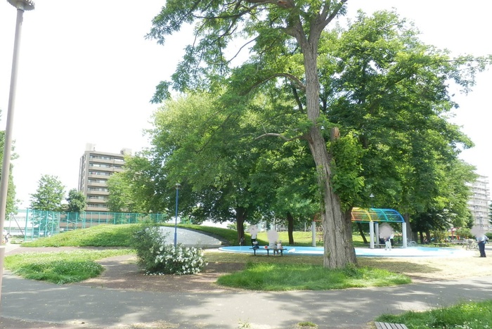 公園　東札幌公園（公園）まで800m