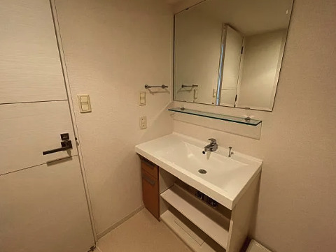 洗面設備　※別部屋の参考写真です。