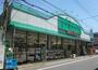 ドラックストア　ドラッグストア一本堂新高島平店（ドラッグストア）まで895m