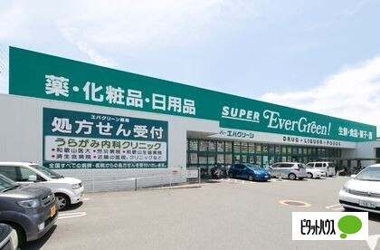 ドラックストア　スーパーエバグリーン四ヶ郷店（ドラッグストア）まで1247m