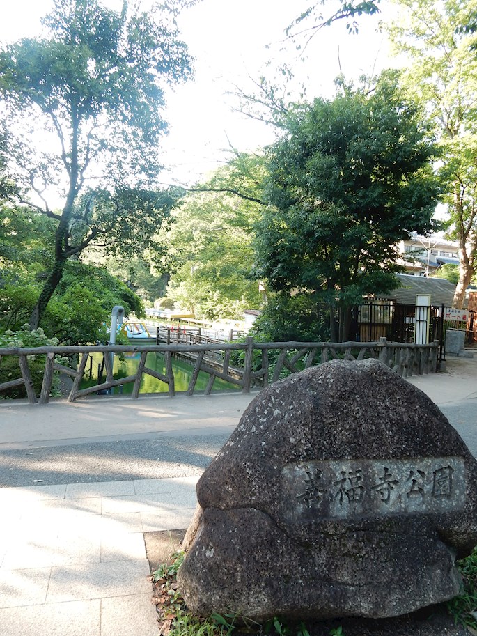 公園　善福寺公園★（公園）まで617m