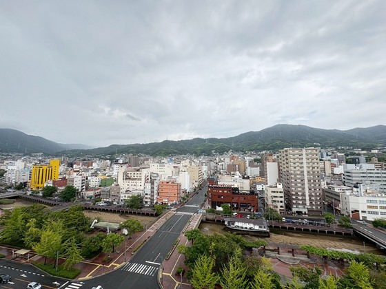 眺望　※別部屋の写真です