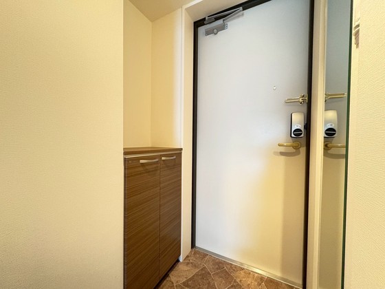 玄関　※別部屋の写真です