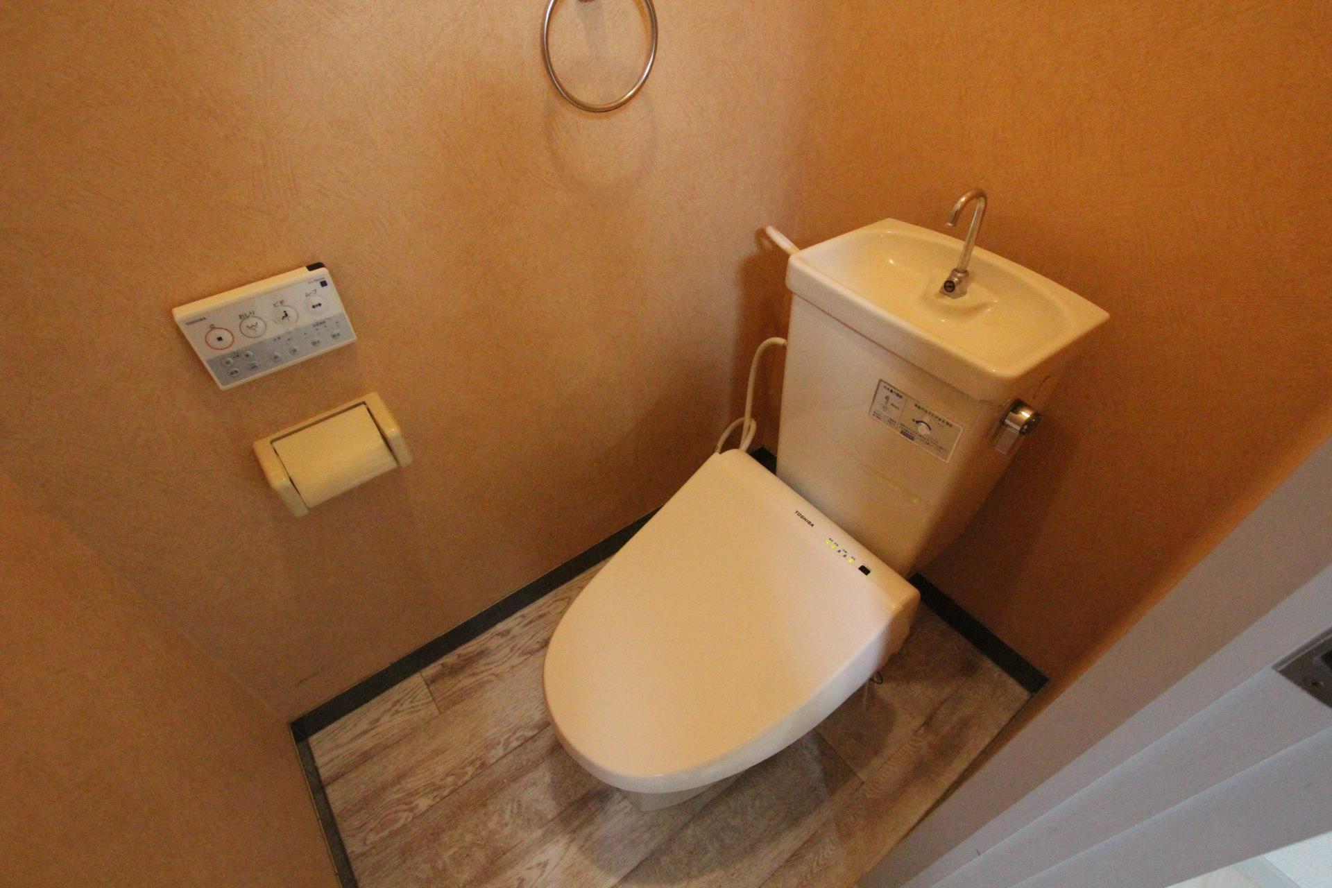 ロータリーマンション高山のトイレ写真