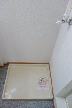 その他　その他