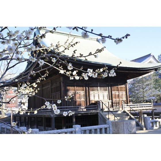 ハイツ・リトルバレーの周辺写真