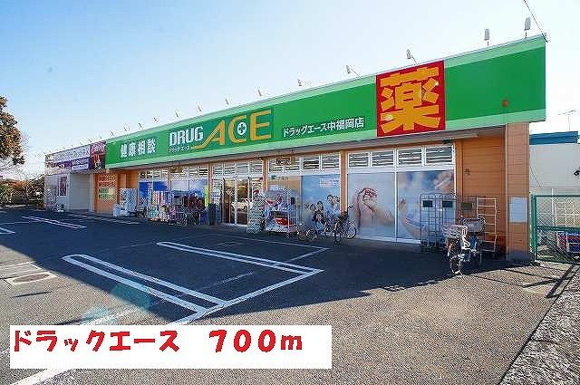 ドラックストア　ドラッグエース（ドラッグストア）まで700m