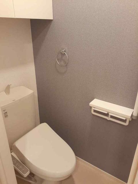 ＪＲ宇部線 東新川駅 徒歩13分 2階建 築6年のトイレ写真