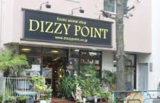 その他　DIZZY POINT TOKYO(デイジー ポイント トウ（その他）まで402m