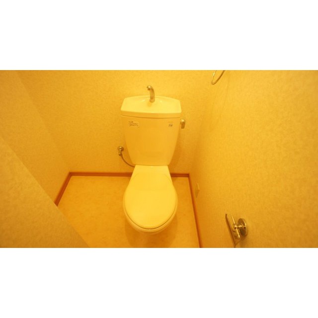 コリーヌ ロロサエのトイレ写真