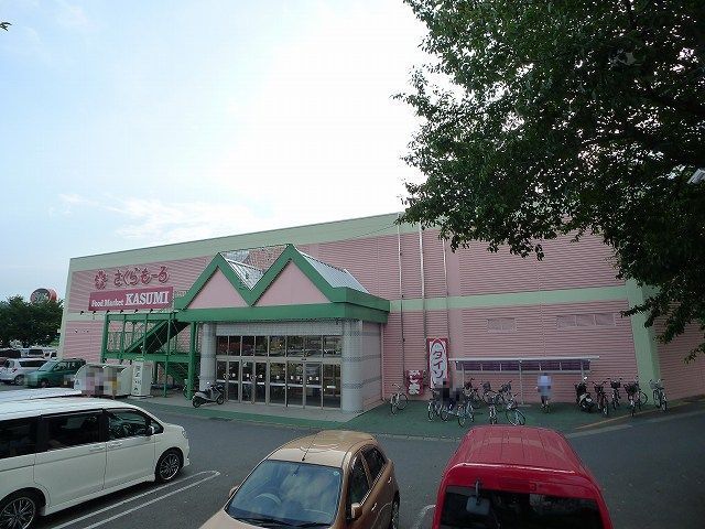 【桐生市相生町のアパートのショッピングセンター】