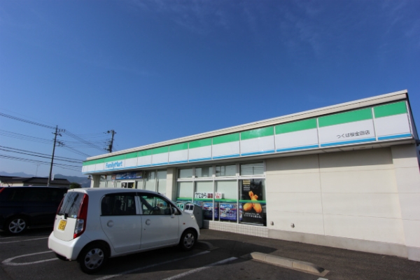 コンビニ　ファミリーマートつくば桜金田店（コンビニ）まで216m