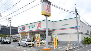 ドラックストア　ドラッグセイムス板橋向原店（ドラッグストア）まで243m