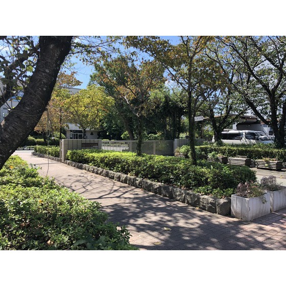 中学校　熊本市立江南中学校（中学校）まで1431m