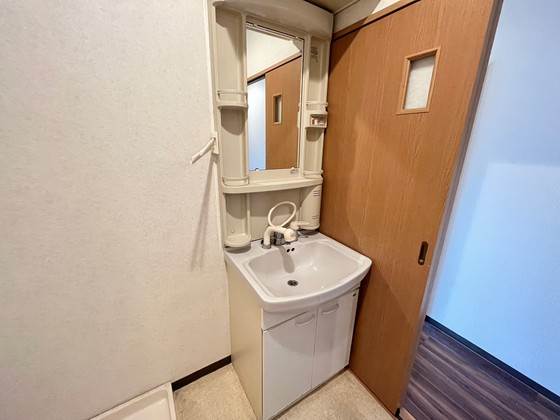 洗面設備　※別号室のお写真です