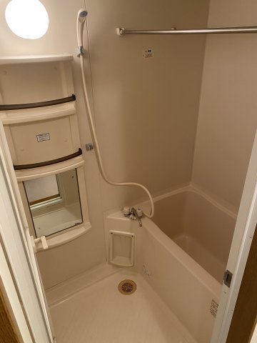 バス・シャワールーム　反転タイプの別号室写真です