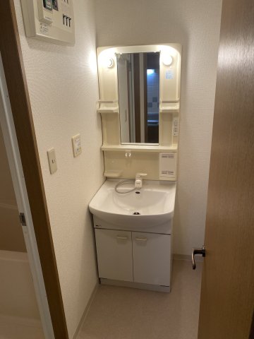 洗面設備　反転タイプの別号室写真です