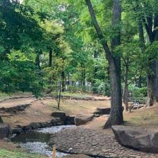 公園　駒沢緑泉公園（公園）まで318m