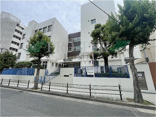 小学校　大阪市立南大江小学校（小学校）まで382m