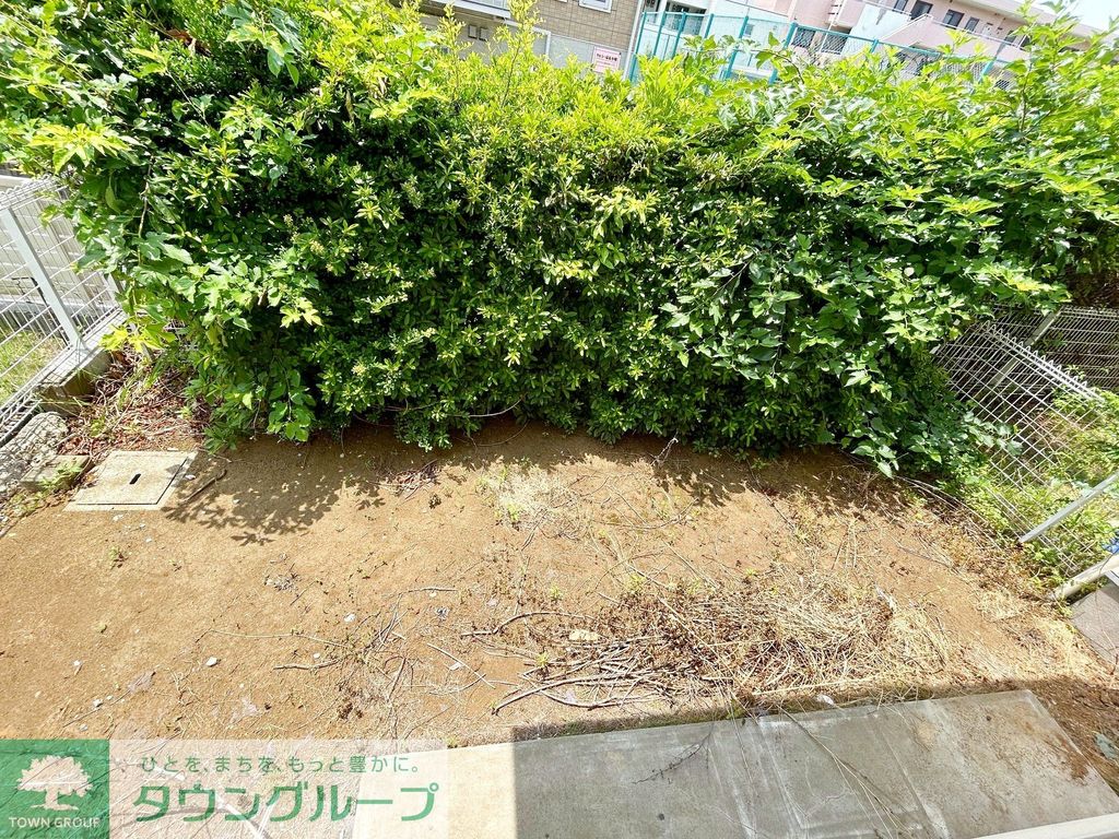 庭