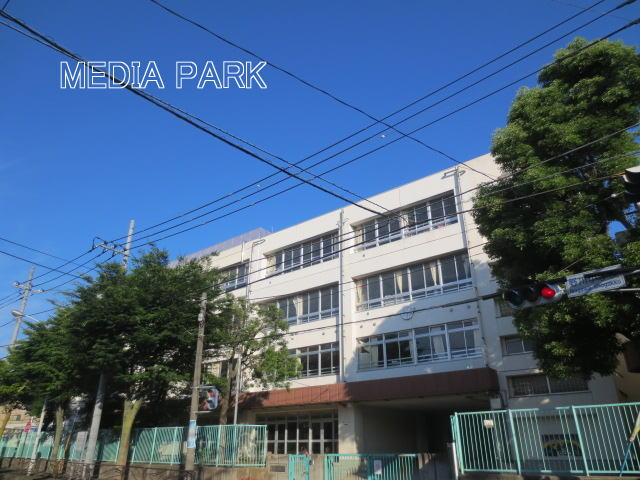 小学校　野川小学校（小学校）まで736m