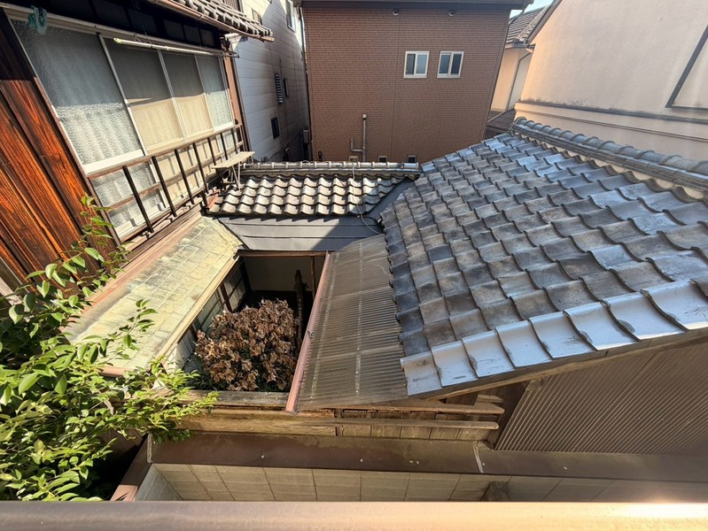 庭