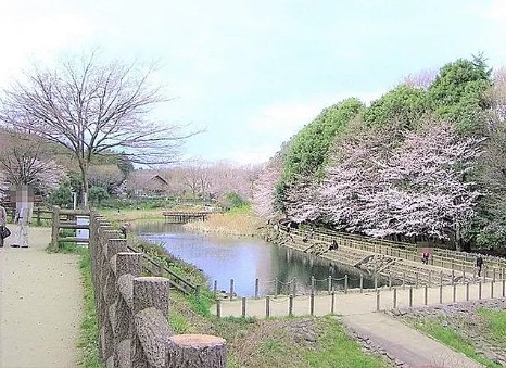 タウン泉の森Iの周辺写真