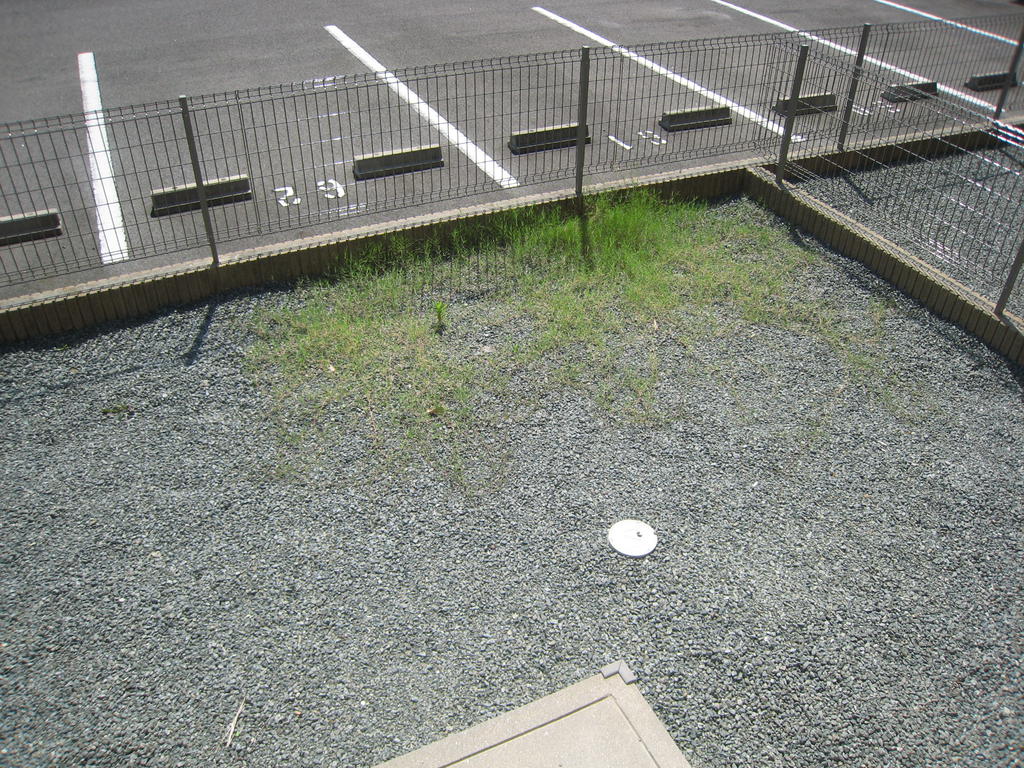 庭　室内写真は別室です